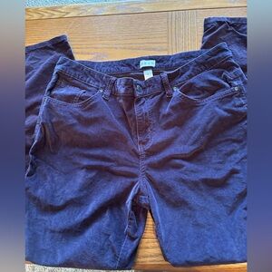 Dash purple velvet pants